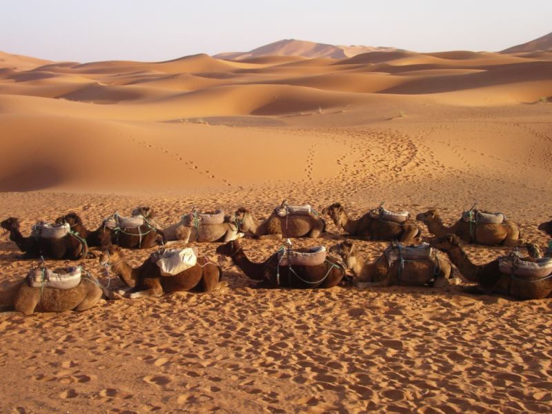 Most of the Arabian Peninsula is desert; and, of this, one-third is "sand 