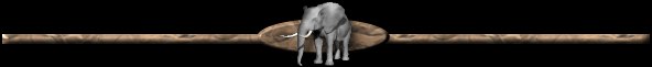 Elephant Pictures and Facts Website