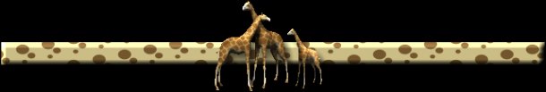 Giraffe Pictures and Facts