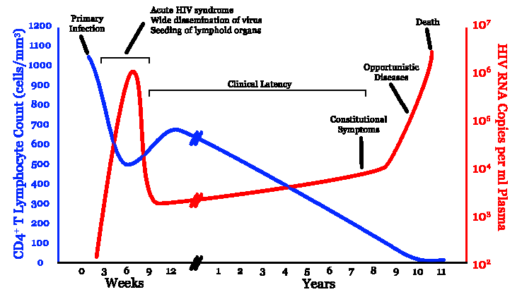 Hiv Spread